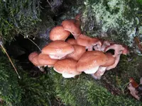 005_1024x768.webp