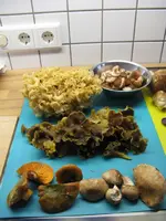007_576x768.webp