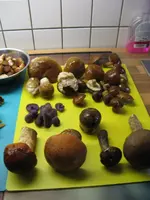 008_576x768.webp