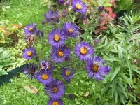 BILD8399.webp