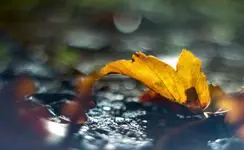 _MG_9092.webp