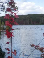 PA050506.webp