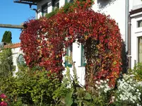 DSC02389.jpg