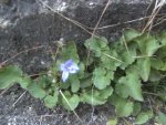 BILD8331.JPG