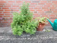 20171007_111311.webp