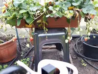 20171007_111051.webp