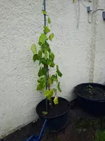 20171007_142011.webp