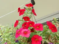 B039.webp