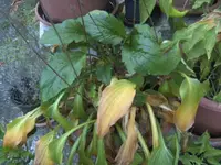 BILD8426.webp