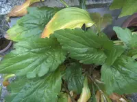 BILD8427.webp