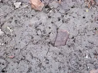 100_6187.webp