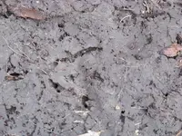 100_6189.webp