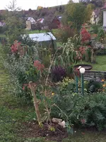 2017-10-07 Sieben Söhne2.webp