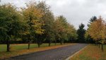 IMG_20171003_162528445.jpg