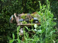 DSCF0194 (2).webp