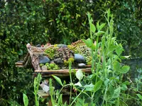 DSCF0195 (2).webp