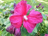 DSCI2681.webp