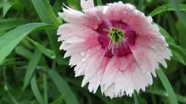 020.webp