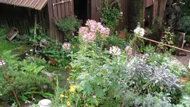 026.webp