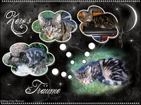 collage-zero.webp