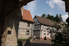 IMG_0494.webp