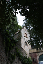 IMG_0507.webp