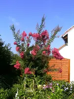BILD1669.webp