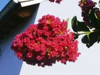 BILD1719.webp