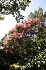 IMG_1164.webp