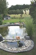 Teiche mit Gräsern_klein.webp