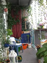 IMG_0868.webp