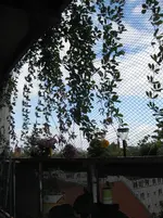 IMG_0867.webp