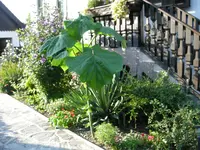 DSCN2113.webp
