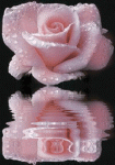 Blume3.gif