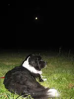 Gina Nachts.webp