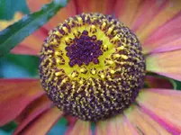 130809 004_Bildgröße ändern.webp