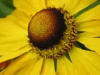 130809 005_Bildgröße ändern.webp