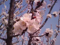 IMAGE_037.webp