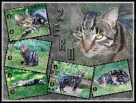 collage zero2 fertig.webp