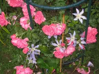 012.webp