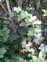 Bild001.webp