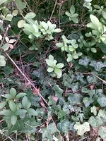 Bild005.webp