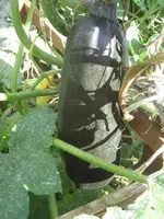 garten 09 002.webp