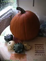 DSC00005.webp
