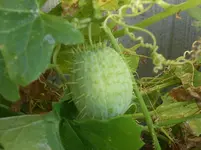 Bild 002.webp