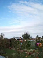 Garten 09.09 013.webp