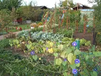 Garten 09.09 011.webp