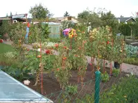 Garten 09.09 014.webp
