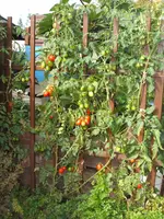 Garten 09.09 023.webp