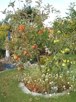 Garten 09.09 022.webp